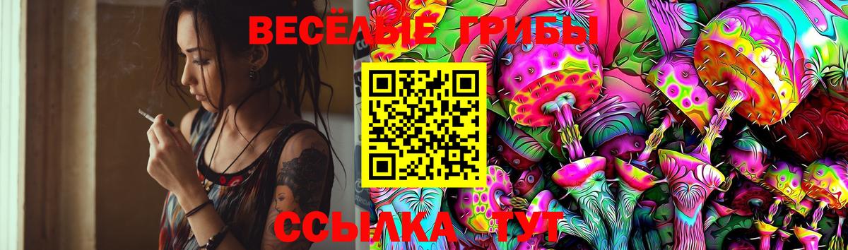 Псилоцибиновые грибы ЛСД Камышин